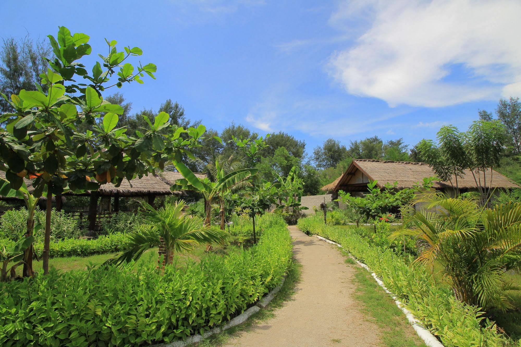 Adeng-Adeng Bungalows Gili Meno Buitenkant foto